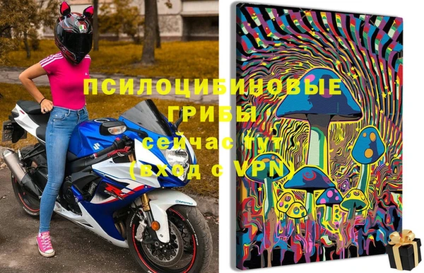 apvp Абинск