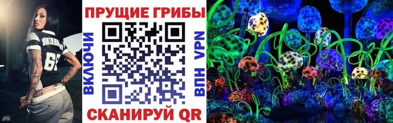 Псилоцибиновые грибы мухоморы  как найти закладки  Кораблино 